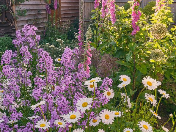 a chaotic garden with many different types of colorful flowers